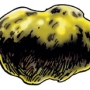 dieu_garl_brilledor_ro.jpg