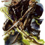 dieu_corellon_gruumsh_ro.png