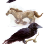 dieu_odin3.png