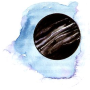 dieu_toldoth.png