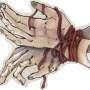 dieu_ilmater_symbole.png