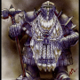 sort_barbe_argentee.png